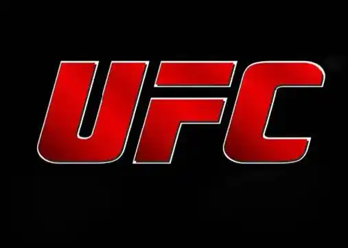 The Thriving UFC Betting Scene in South Africa